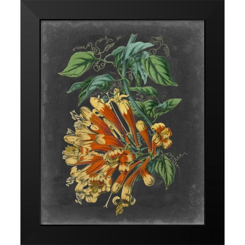 Dramatic Tropical Beauty II Black Modern Wood Framed Art Print by Wiek, John