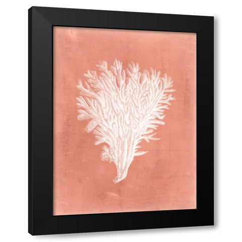 Sealife on Coral II Black Modern Wood Framed Art Print with Double Matting by Vision Studio