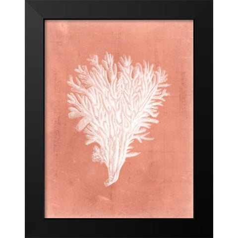 Sealife on Coral II Black Modern Wood Framed Art Print by Vision Studio