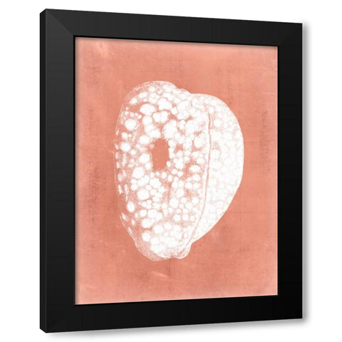 Sealife on Coral III Black Modern Wood Framed Art Print with Double Matting by Vision Studio