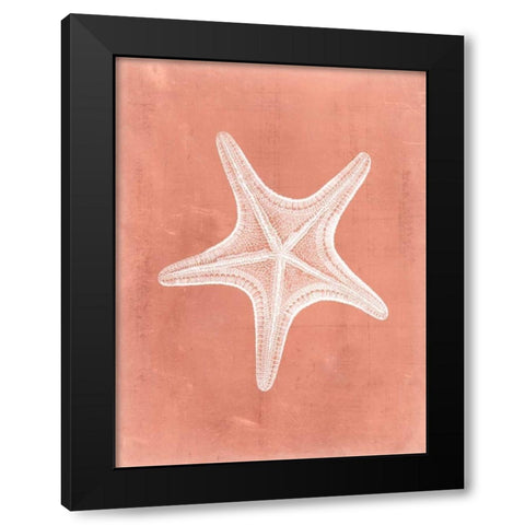 Sealife on Coral IV Black Modern Wood Framed Art Print with Double Matting by Vision Studio