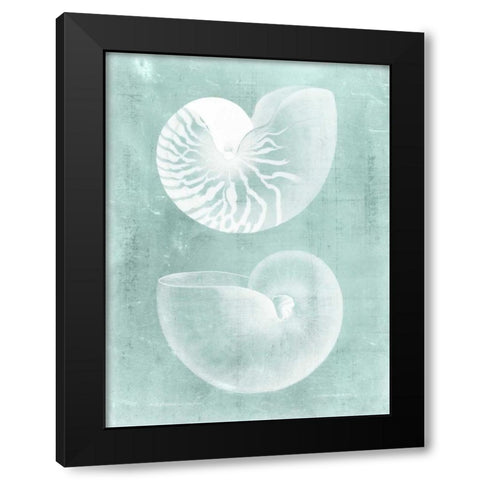 Nautilus on Spa I Black Modern Wood Framed Art Print with Double Matting by Vision Studio