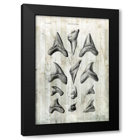 Relic Hunter II Black Modern Wood Framed Art Print with Double Matting by Vision Studio