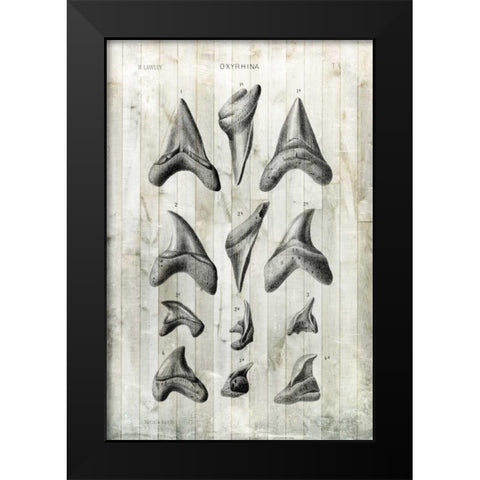 Relic Hunter II Black Modern Wood Framed Art Print by Vision Studio