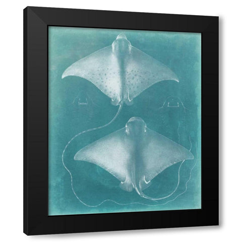 Morning Swim I Black Modern Wood Framed Art Print with Double Matting by Vision Studio