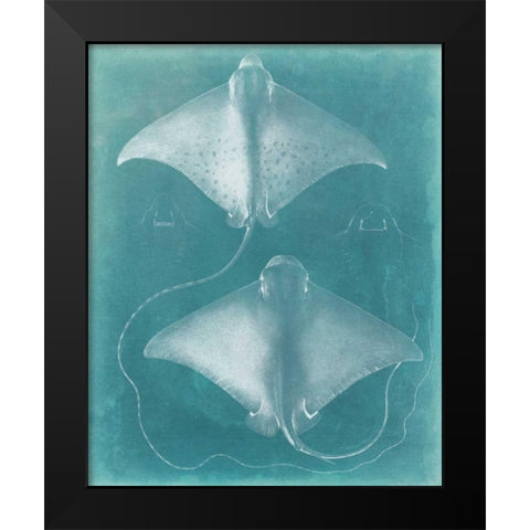 Morning Swim I Black Modern Wood Framed Art Print by Vision Studio