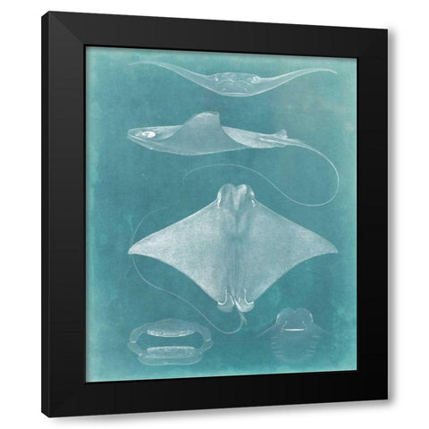 Morning Swim II Black Modern Wood Framed Art Print by Vision Studio