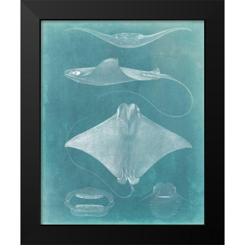 Morning Swim II Black Modern Wood Framed Art Print by Vision Studio