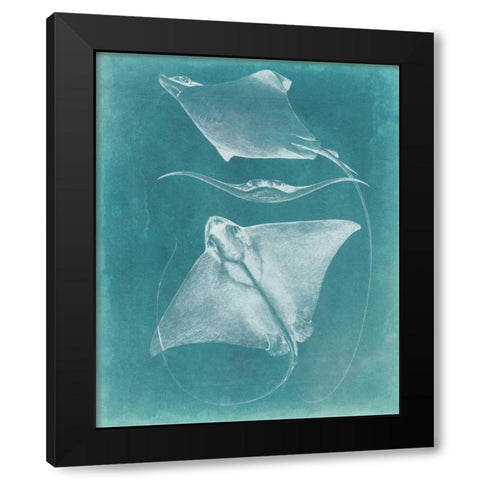 Morning Swim III Black Modern Wood Framed Art Print by Vision Studio