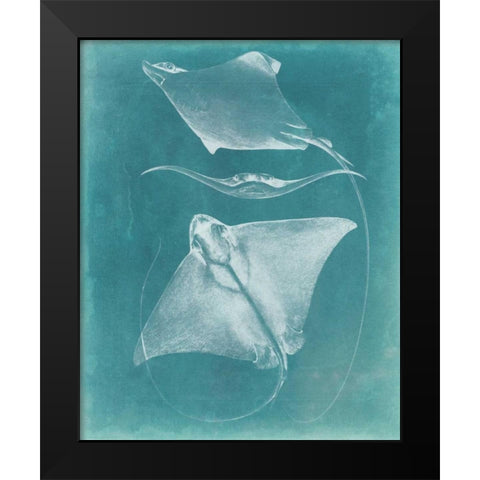 Morning Swim III Black Modern Wood Framed Art Print by Vision Studio