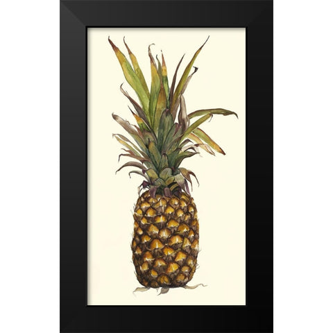 Pineapple Study II (ASH) Black Modern Wood Framed Art Print by Willett, Michael