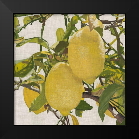 Bright Citrus III (ASH) Black Modern Wood Framed Art Print by McCavitt, Naomi