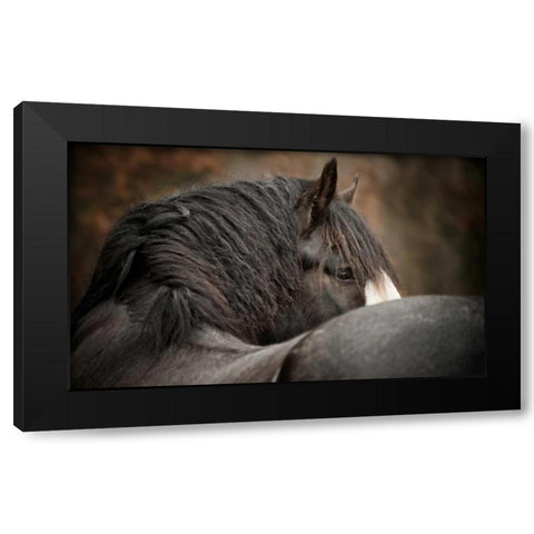 Looking Back Black Modern Wood Framed Art Print by PHBurchett