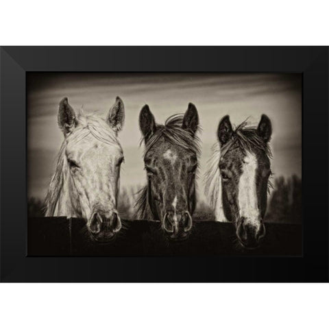 Three Amigos I Black Modern Wood Framed Art Print by PHBurchett