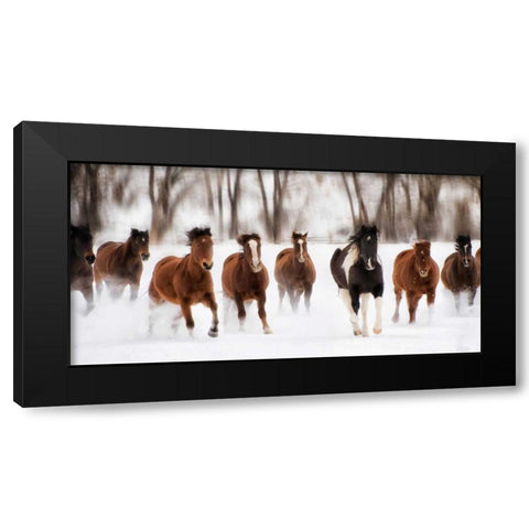 Snow Run I Black Modern Wood Framed Art Print by PHBurchett