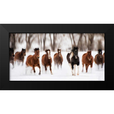 Snow Run I Black Modern Wood Framed Art Print by PHBurchett