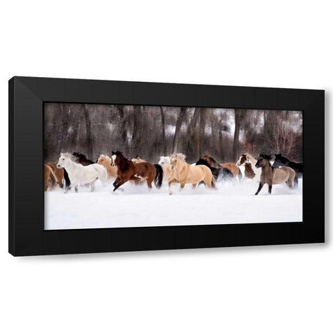 Snow Run II Black Modern Wood Framed Art Print by PHBurchett