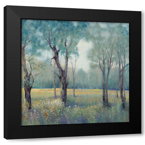 Morning Mist Black Modern Wood Framed Art Print with Double Matting by OToole, Tim