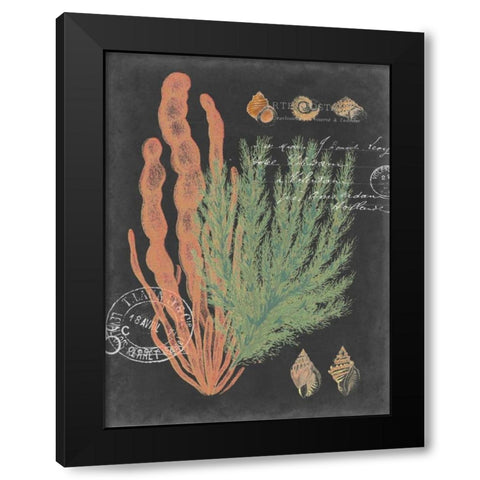 Coastal Post I Black Modern Wood Framed Art Print with Double Matting by Studio W