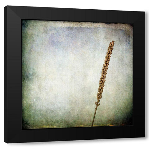 Grunge Remnants I Black Modern Wood Framed Art Print with Double Matting by Malek, Honey