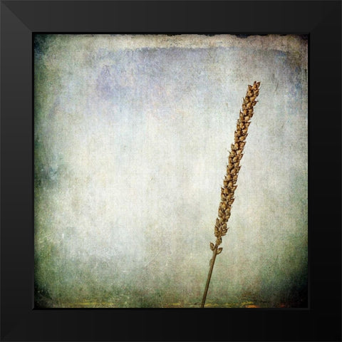 Grunge Remnants I Black Modern Wood Framed Art Print by Malek, Honey