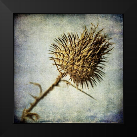 Grunge Remnants II Black Modern Wood Framed Art Print by Malek, Honey