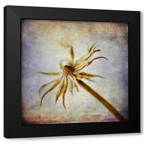 Grunge Remnants III Black Modern Wood Framed Art Print with Double Matting by Malek, Honey