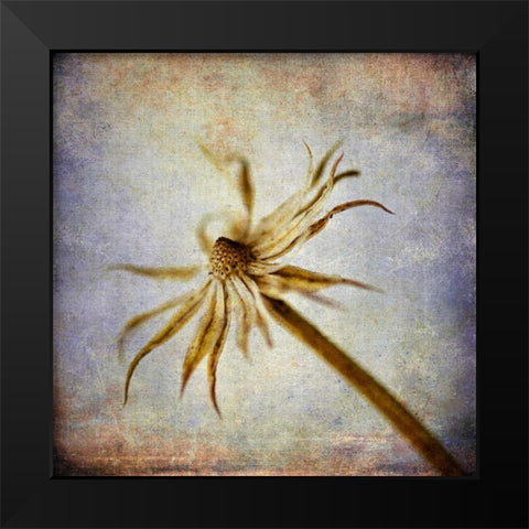 Grunge Remnants III Black Modern Wood Framed Art Print by Malek, Honey