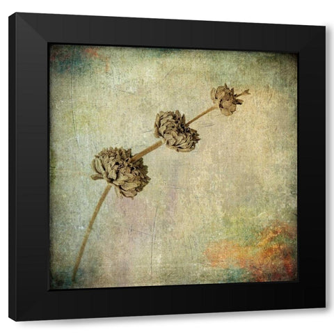 Grunge Remnants IV Black Modern Wood Framed Art Print by Malek, Honey