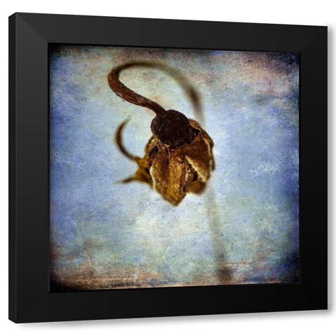 Grunge Remnants VIII Black Modern Wood Framed Art Print by Malek, Honey