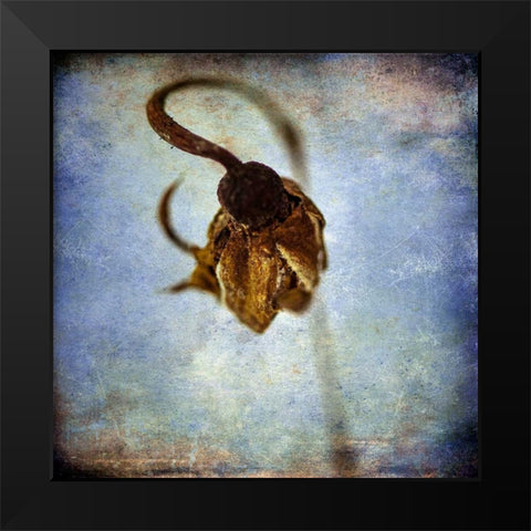 Grunge Remnants VIII Black Modern Wood Framed Art Print by Malek, Honey