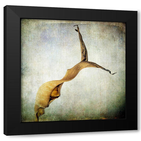 Grunge Remnants IX Black Modern Wood Framed Art Print by Malek, Honey