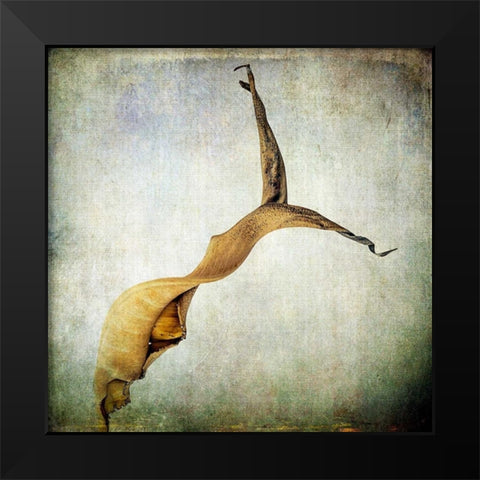 Grunge Remnants IX Black Modern Wood Framed Art Print by Malek, Honey