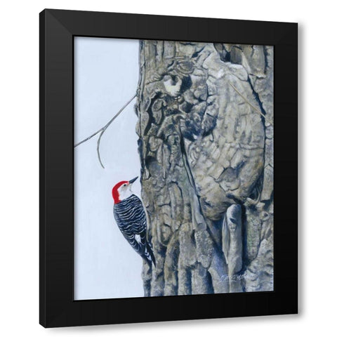 Red Bellied Woodpecker I Black Modern Wood Framed Art Print with Double Matting by Szatkowski, Fred