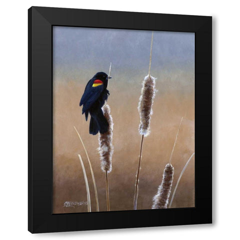 Redwing Morning I Black Modern Wood Framed Art Print with Double Matting by Szatkowski, Fred