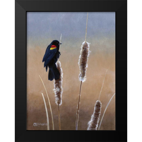 Redwing Morning I Black Modern Wood Framed Art Print by Szatkowski, Fred