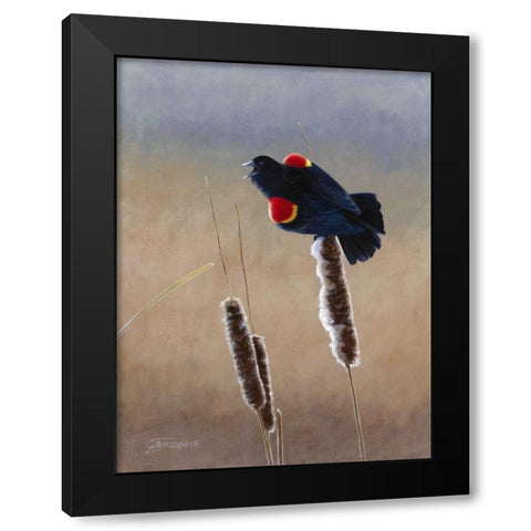 Redwing Morning II Black Modern Wood Framed Art Print by Szatkowski, Fred