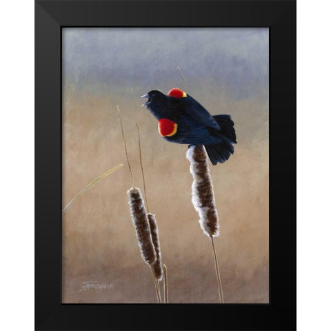 Redwing Morning II Black Modern Wood Framed Art Print by Szatkowski, Fred