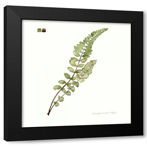 Watercolor Leaf Study I Black Modern Wood Framed Art Print by Popp, Grace