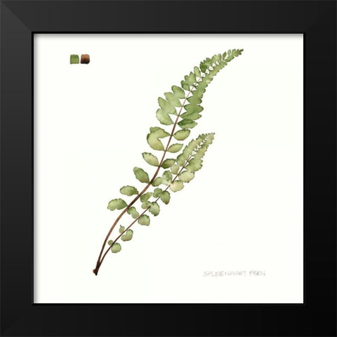 Watercolor Leaf Study I Black Modern Wood Framed Art Print by Popp, Grace
