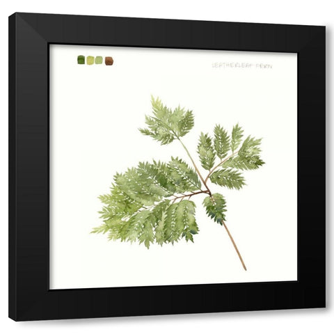 Watercolor Leaf Study II Black Modern Wood Framed Art Print by Popp, Grace