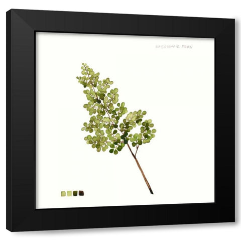 Watercolor Leaf Study III Black Modern Wood Framed Art Print with Double Matting by Popp, Grace