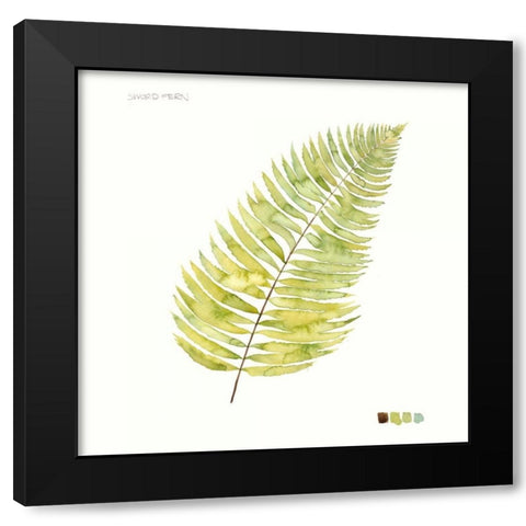 Watercolor Leaf Study IV Black Modern Wood Framed Art Print by Popp, Grace