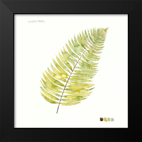 Watercolor Leaf Study IV Black Modern Wood Framed Art Print by Popp, Grace