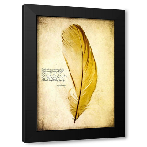 Feather in Color IV Black Modern Wood Framed Art Print by Malek, Honey