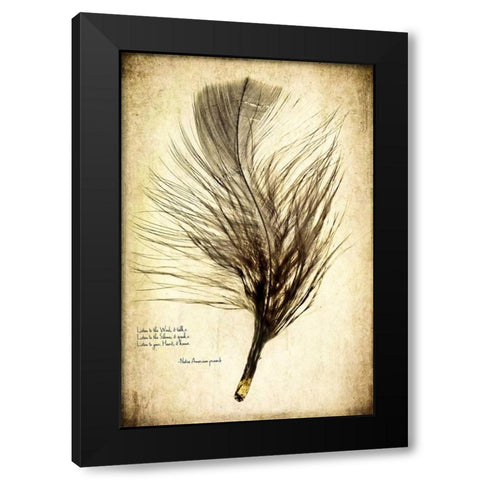Feather on the Wind II Black Modern Wood Framed Art Print by Malek, Honey