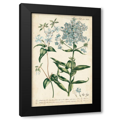 Chambray Botanical II Black Modern Wood Framed Art Print with Double Matting by Miller, Dianne
