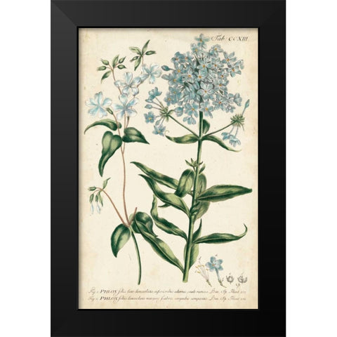 Chambray Botanical II Black Modern Wood Framed Art Print by Miller, Dianne