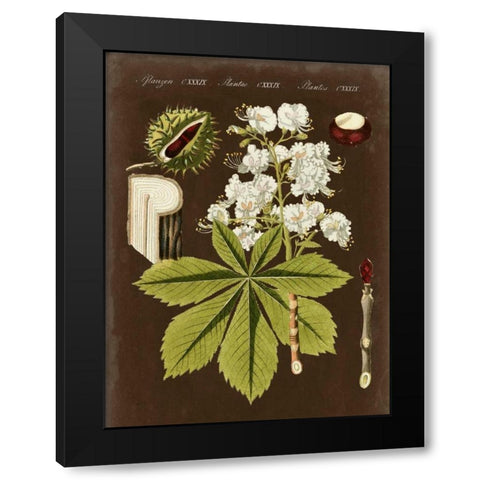 Chestnut on Suede Black Modern Wood Framed Art Print with Double Matting by Vision Studio