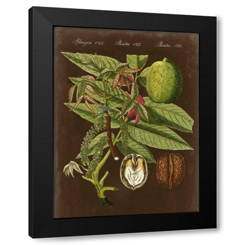 Walnut on Suede Black Modern Wood Framed Art Print with Double Matting by Vision Studio